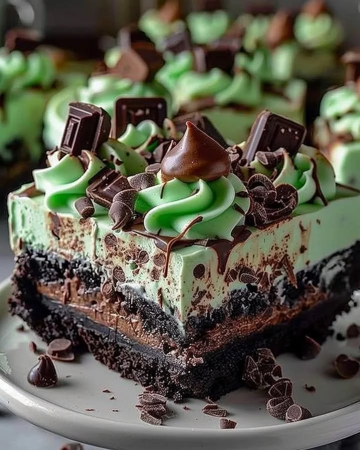 Slice of Mint Chocolate Fudge Cheesecake topped with chocolate and mint garnish